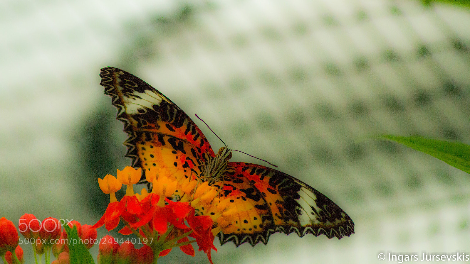 Canon EOS 7D sample photo. Untitled photography