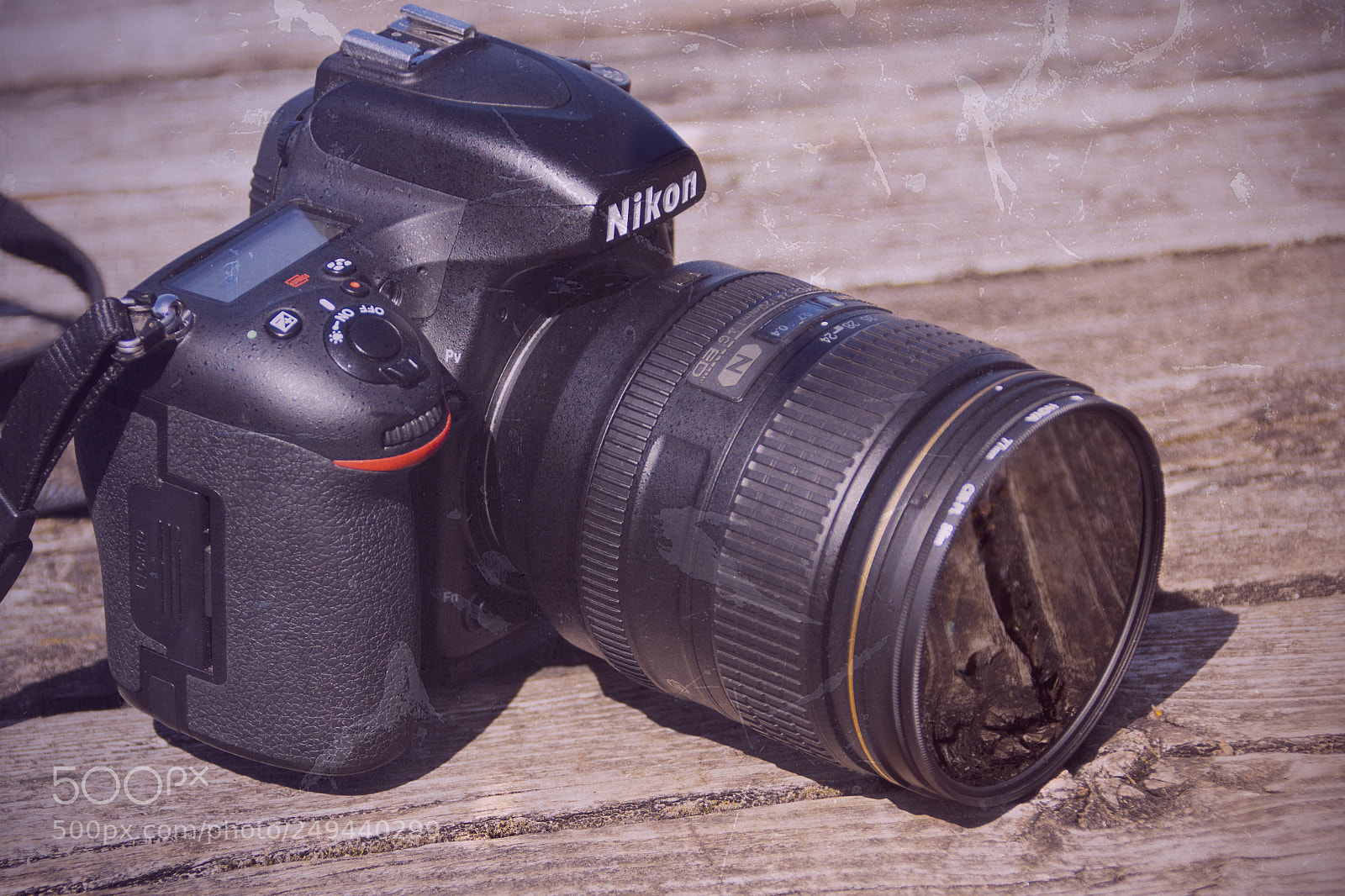 Nikon D500 sample photo. Nikon d750 photography