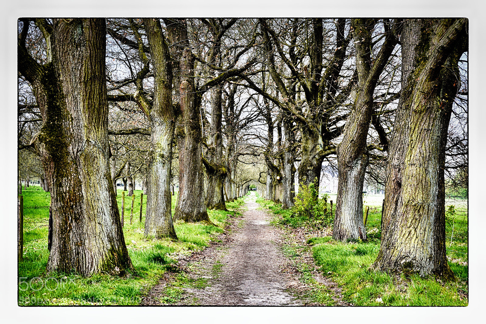 Nikon D7100 sample photo. Untitled photography