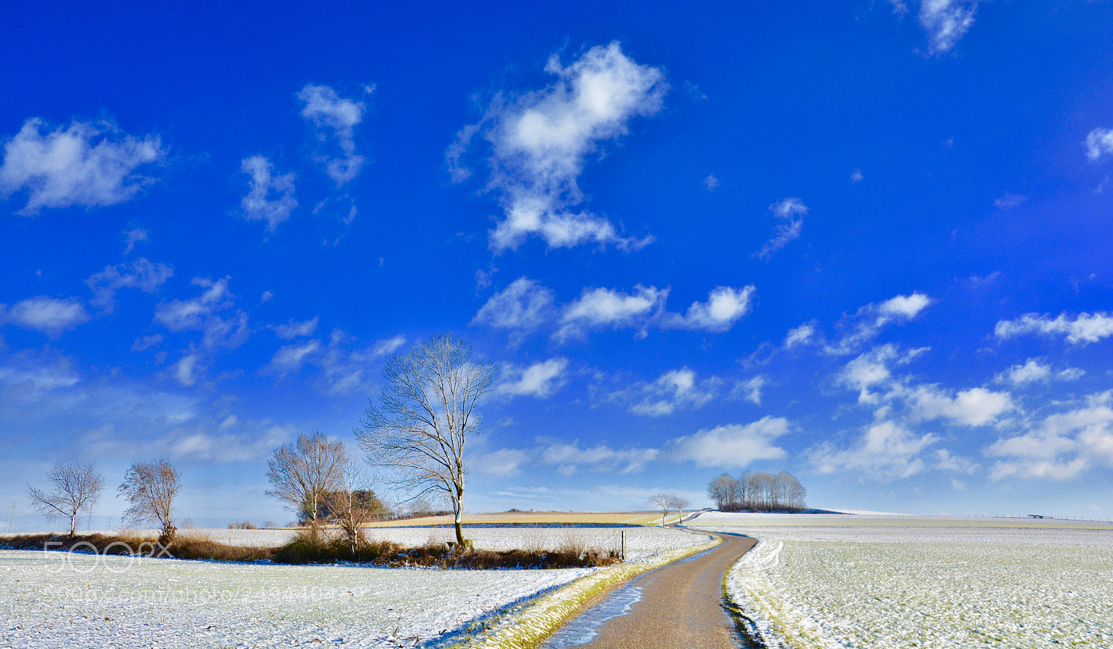 Nikon D7100 sample photo. Untitled photography