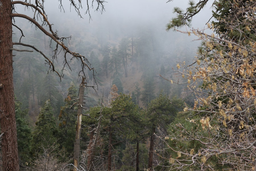 Canon EOS 100D (EOS Rebel SL1 / EOS Kiss X7) sample photo. Angeles national forest photography