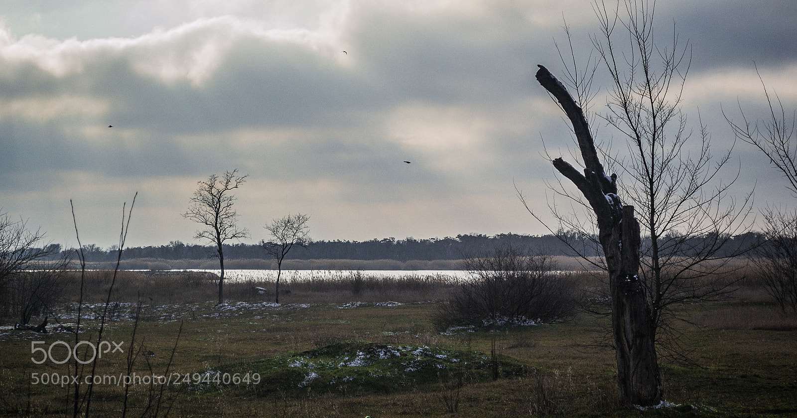 Nikon D3100 sample photo. Untitled photography