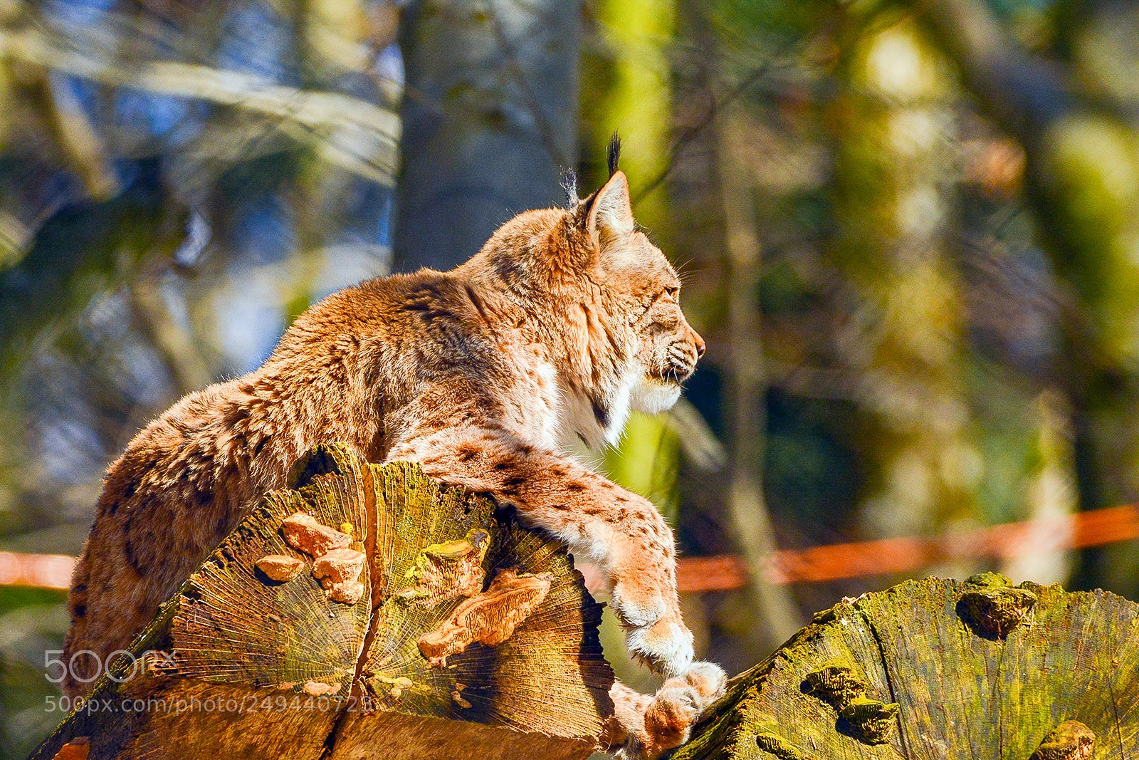 Nikon D7100 sample photo. Bearbeitet photography