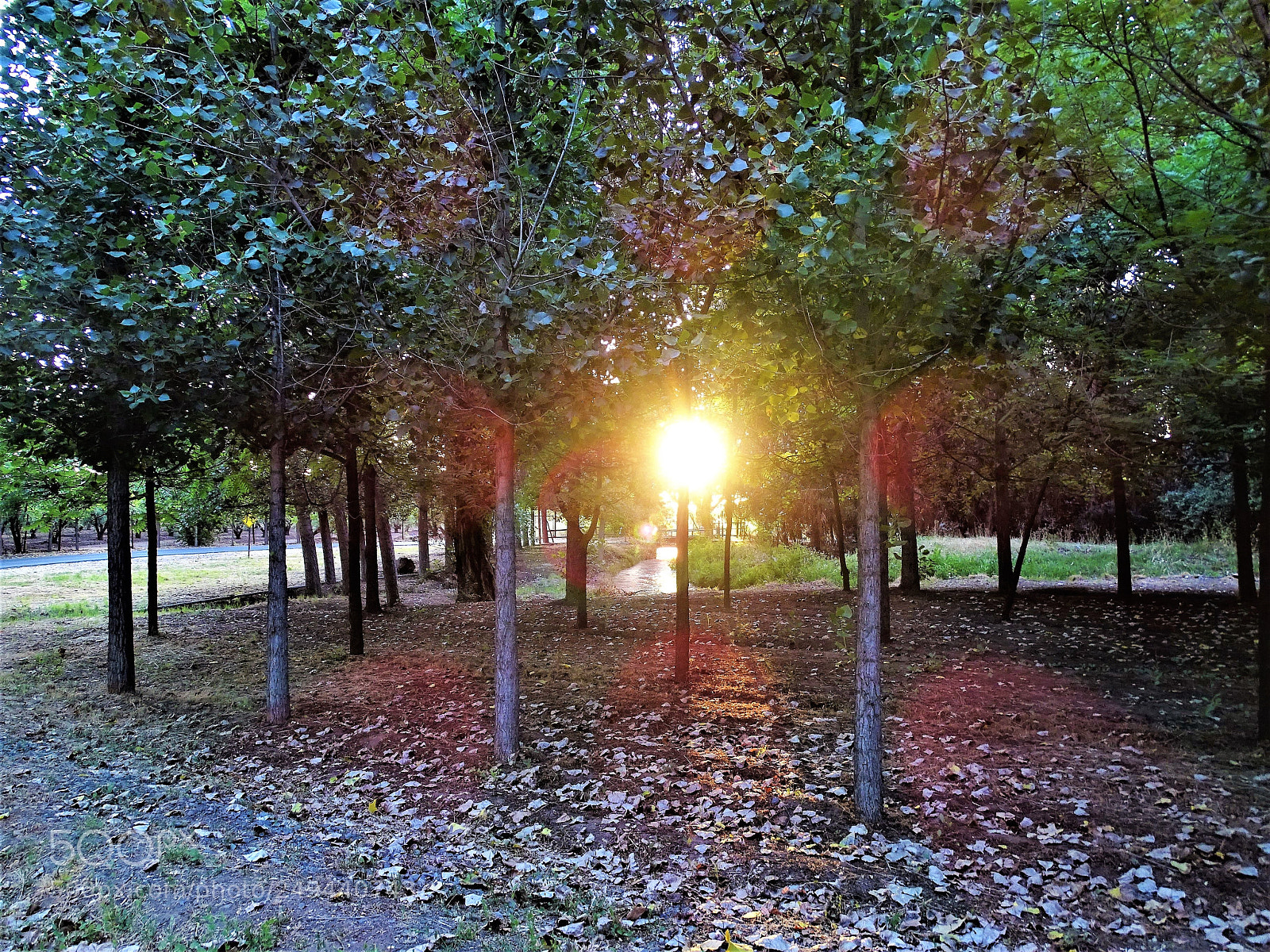 Sony Cyber-shot DSC-HX400V sample photo. El sol entre los photography