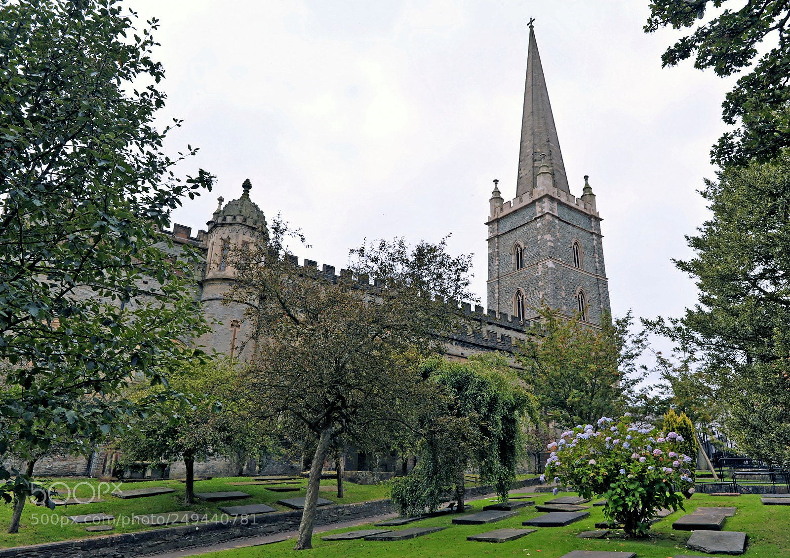 Nikon D700 sample photo. Derry northern ireland photography