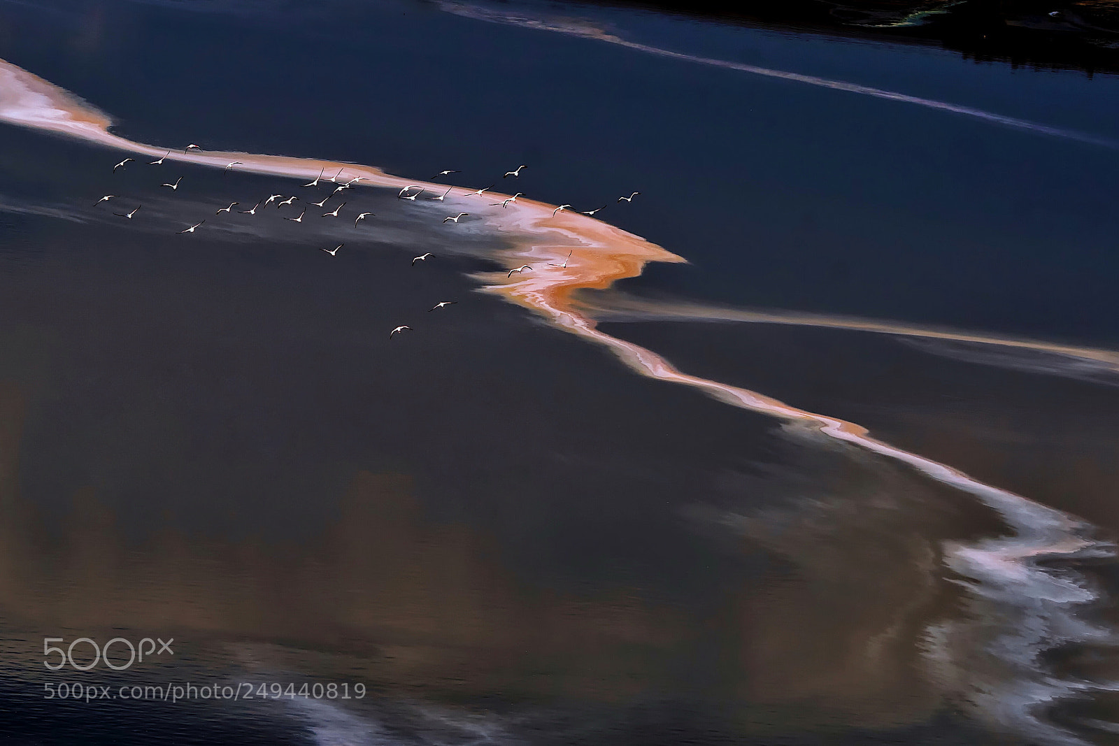 Sony a99 II sample photo. Flamingos on lake natron photography