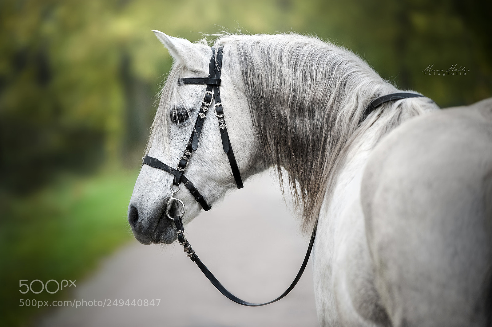 Nikon D3 sample photo. Andalusian photography