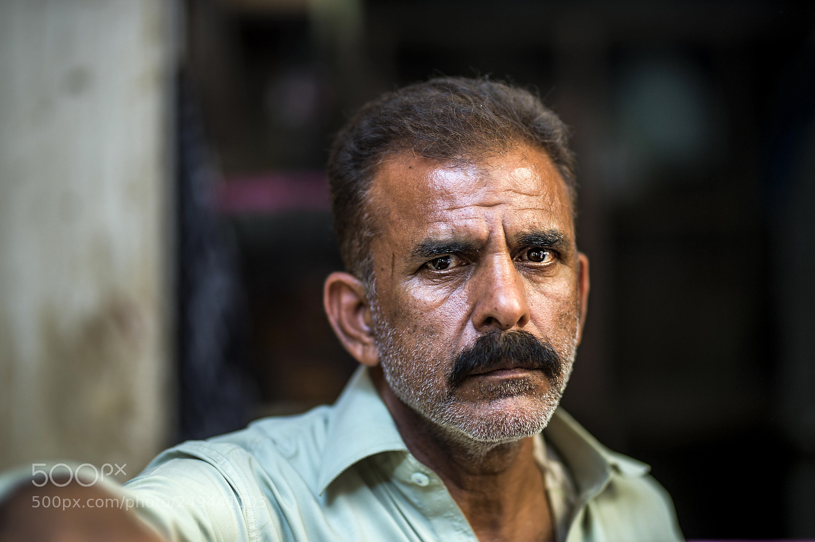 Nikon D4S sample photo. The rooster man... photography