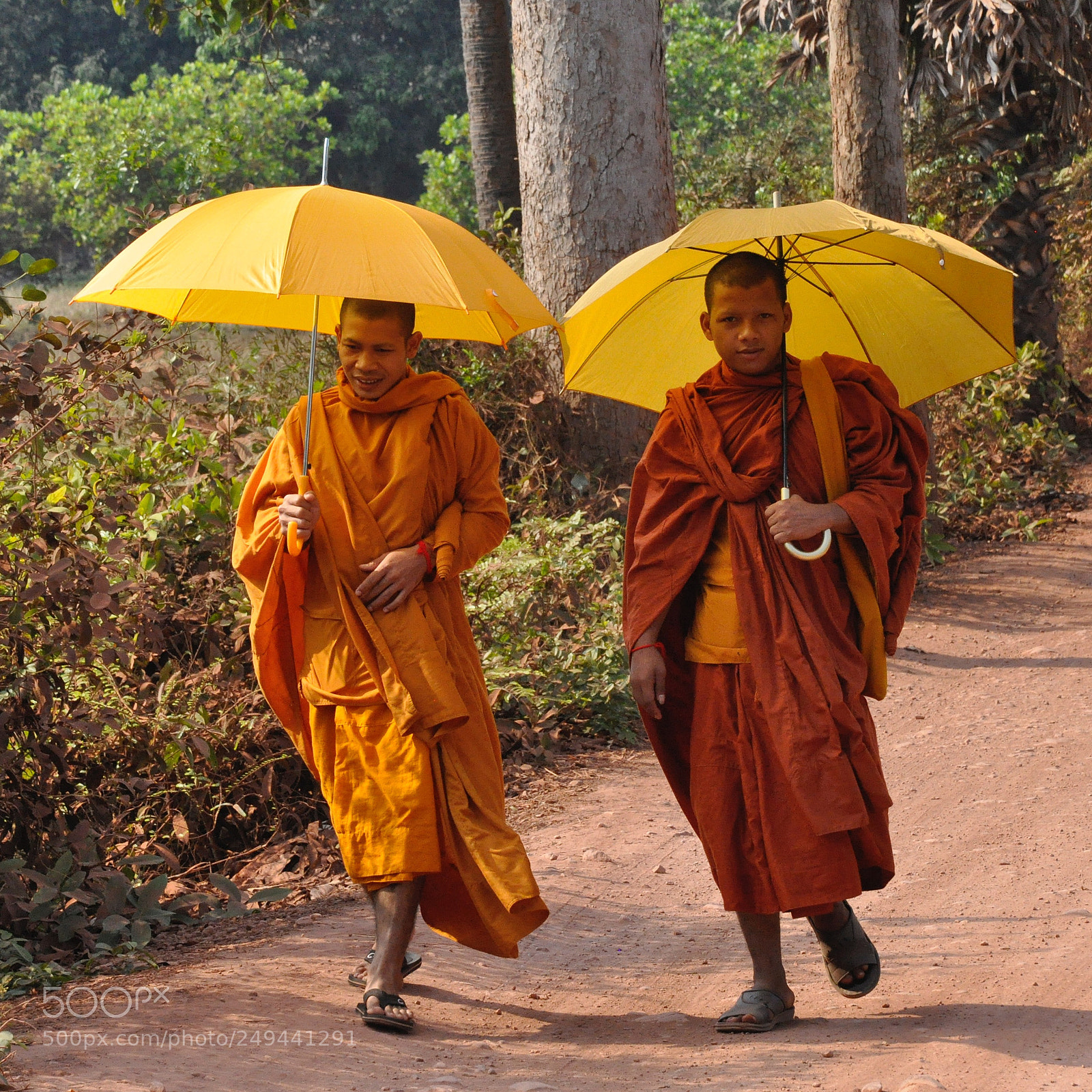 Nikon D90 sample photo. Therav da buddhist monks,bakong,cambodia photography