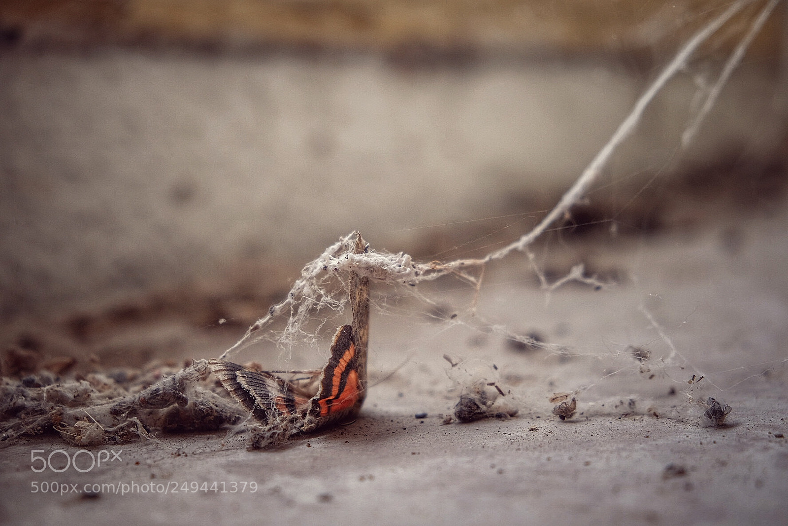 Fujifilm X-T1 sample photo. Cuando la muerte te photography