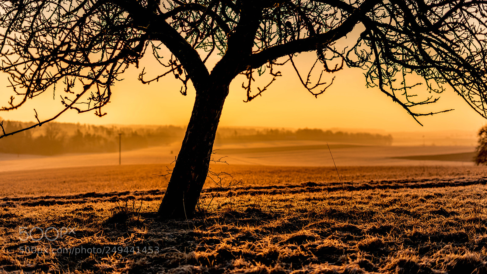 Sony a7 sample photo. In the morning photography
