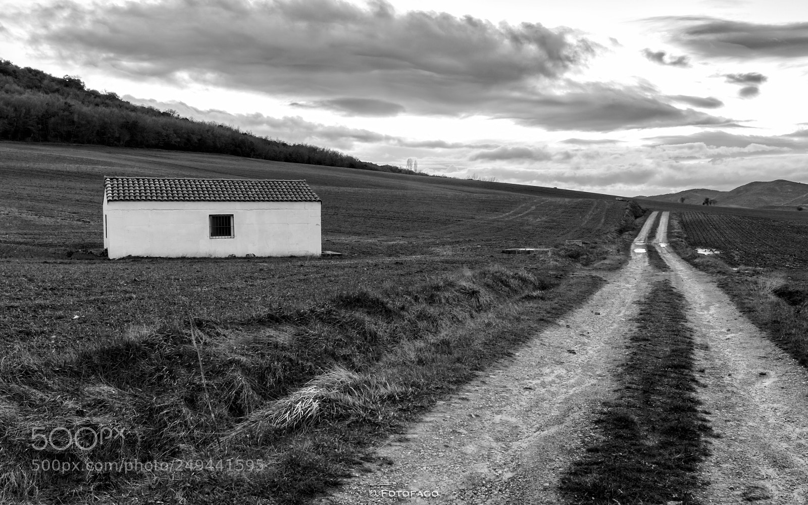 Nikon D7000 sample photo. The dilemma photography