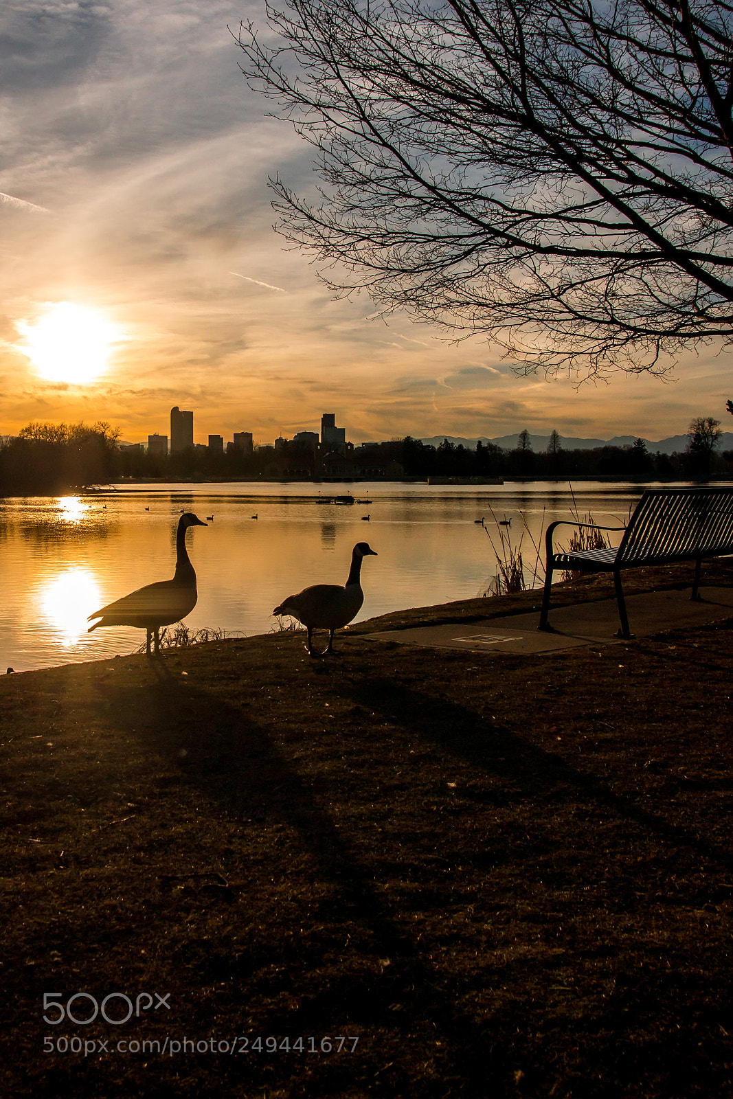 Sony SLT-A77 sample photo. Denver city park photography