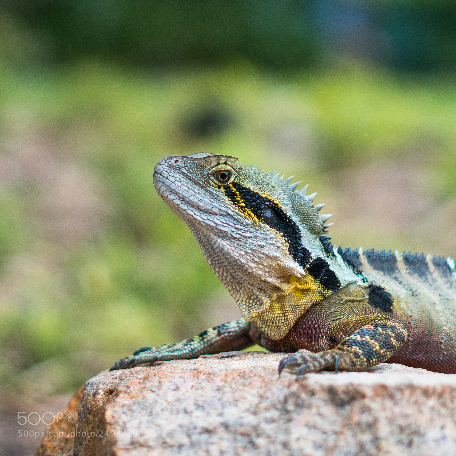 Sony a6300 sample photo. Dsc photography