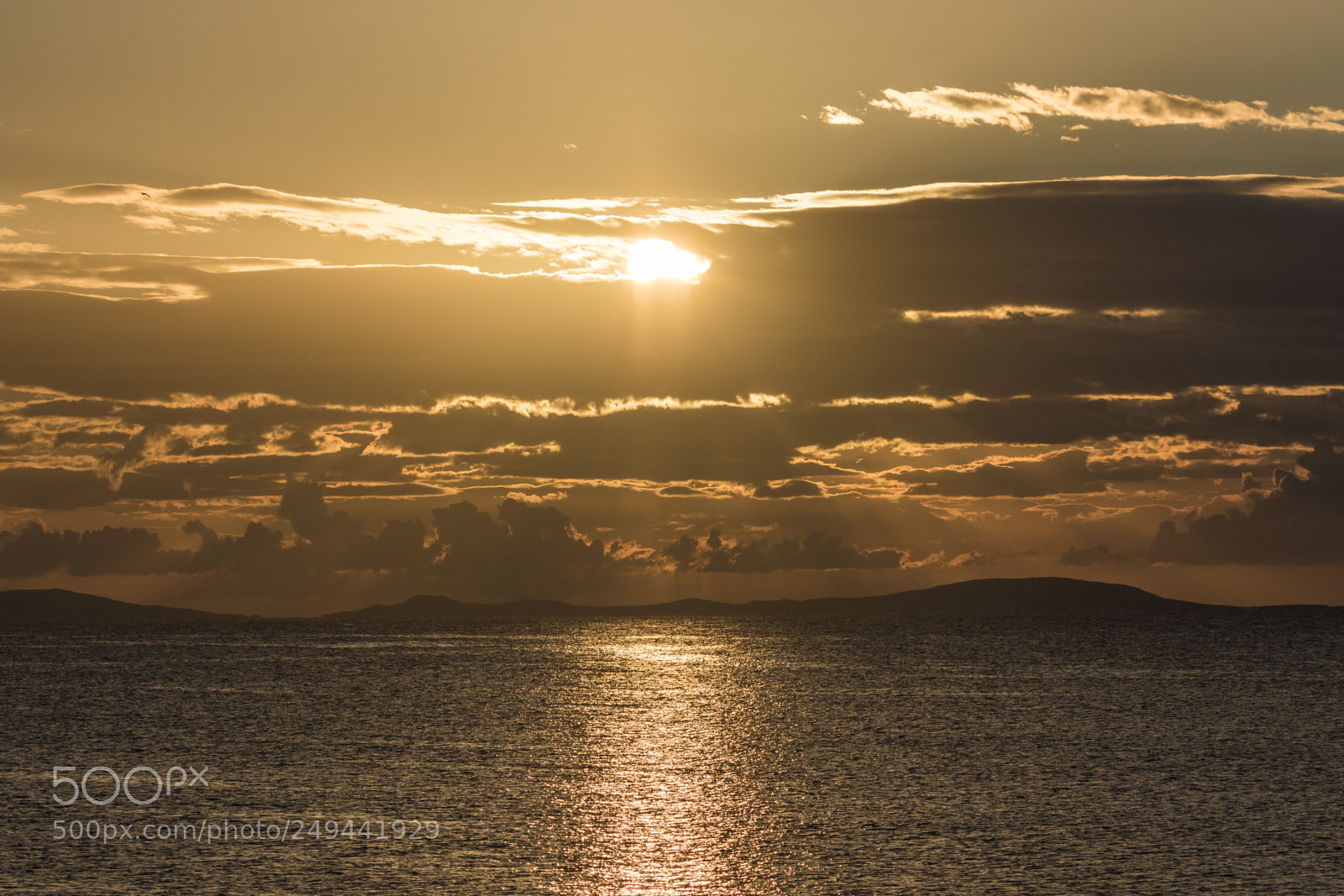 Canon EOS 7D Mark II sample photo. Yellow morning photography