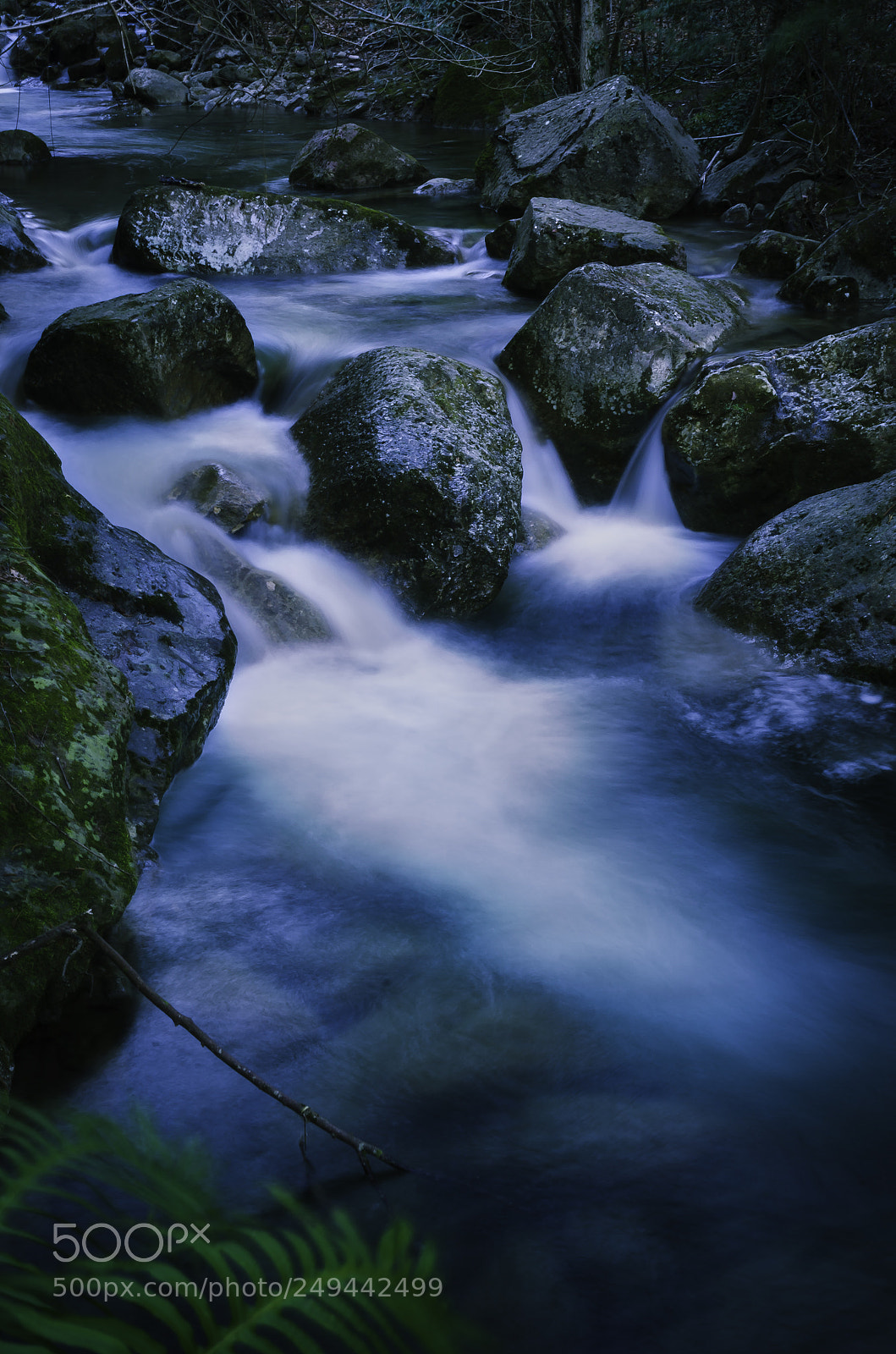 Nikon D7000 sample photo. Stream photography
