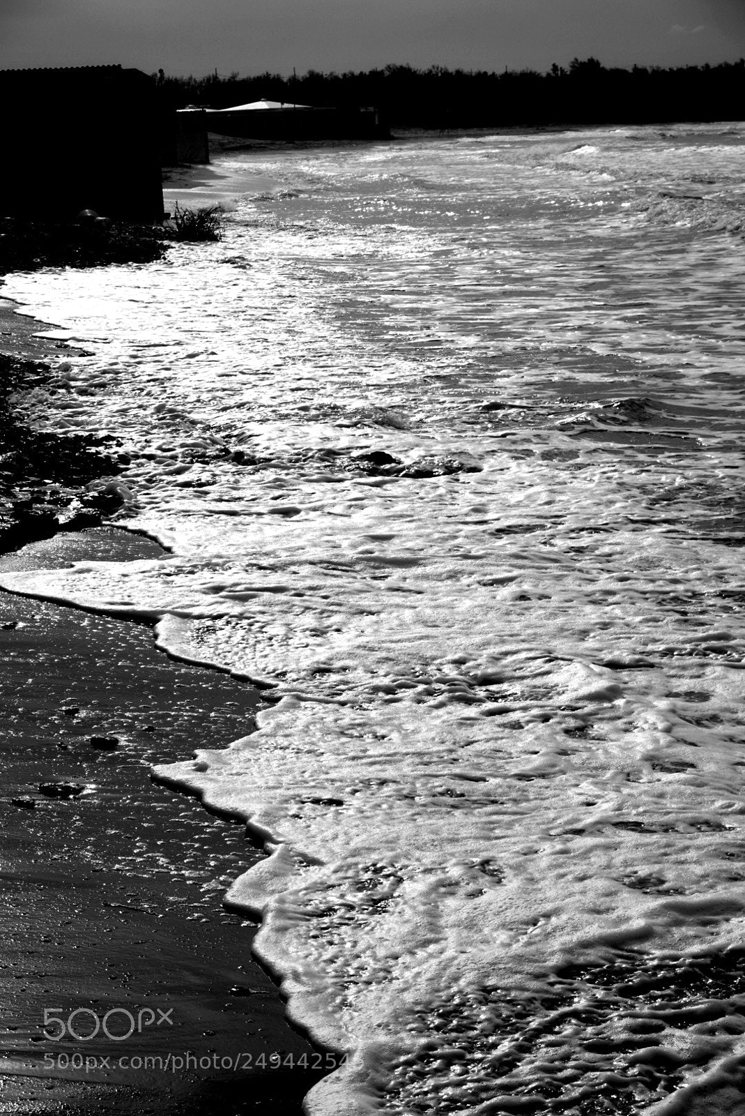 Sony a6000 sample photo. Dsc00778.1.jpg photography