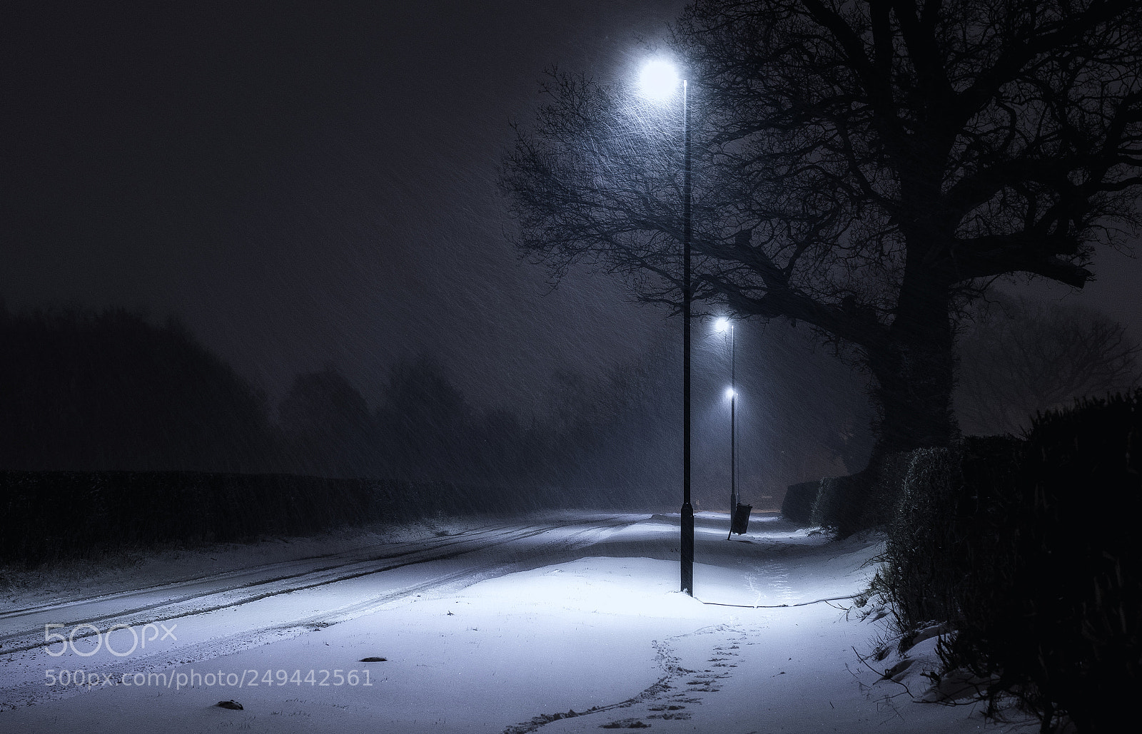 Nikon D7100 sample photo. Snow fall lane photography