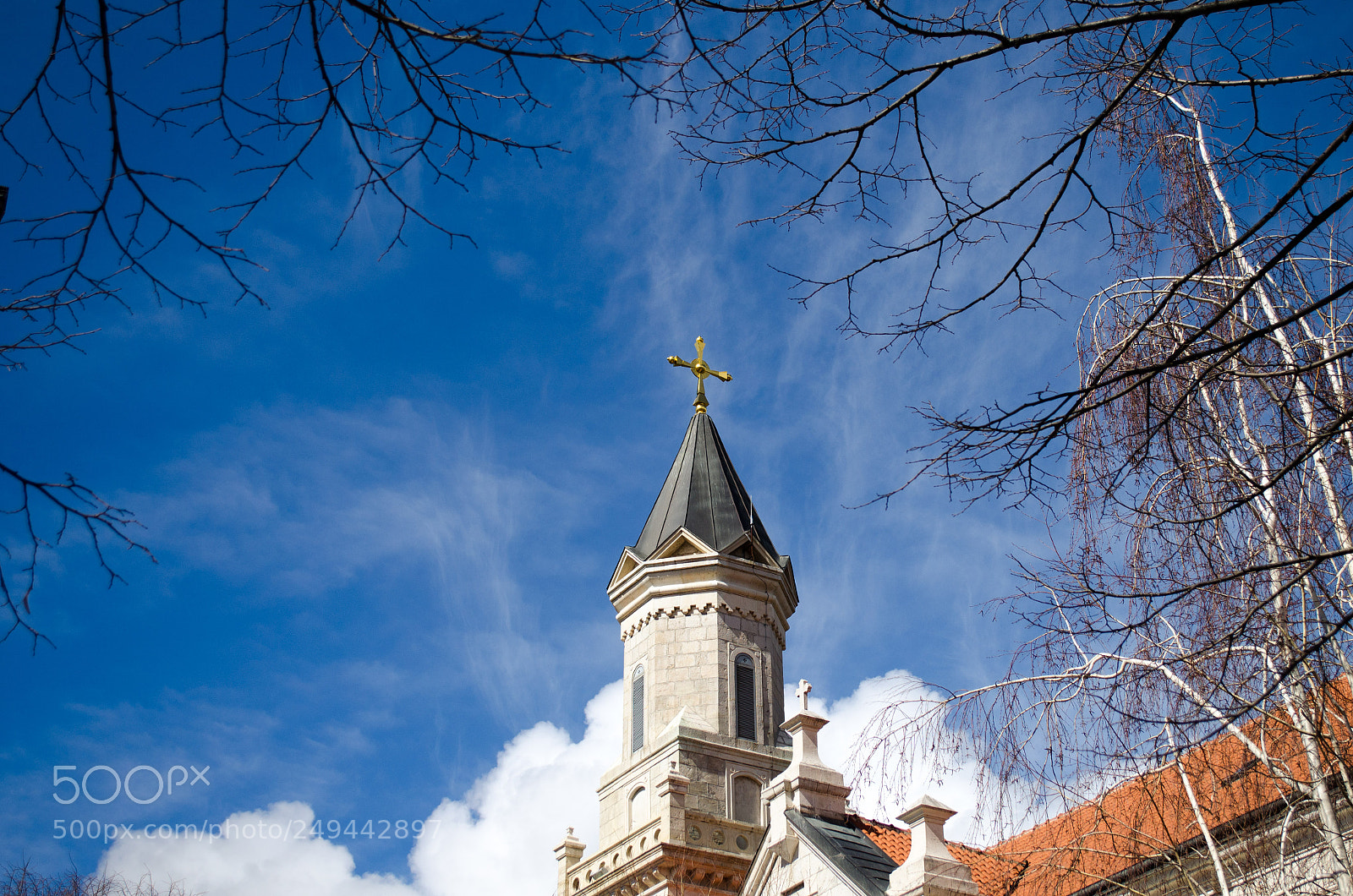Nikon D5100 sample photo. Spring photography