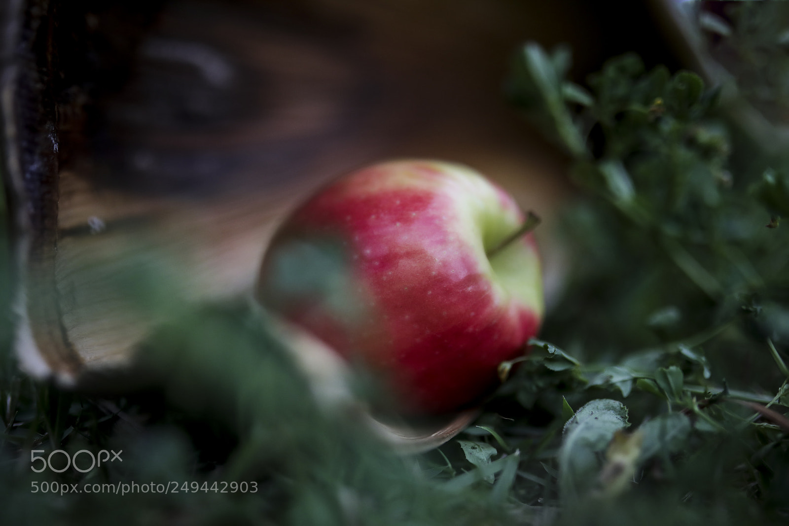Canon EOS 5D Mark IV sample photo. Apple photography