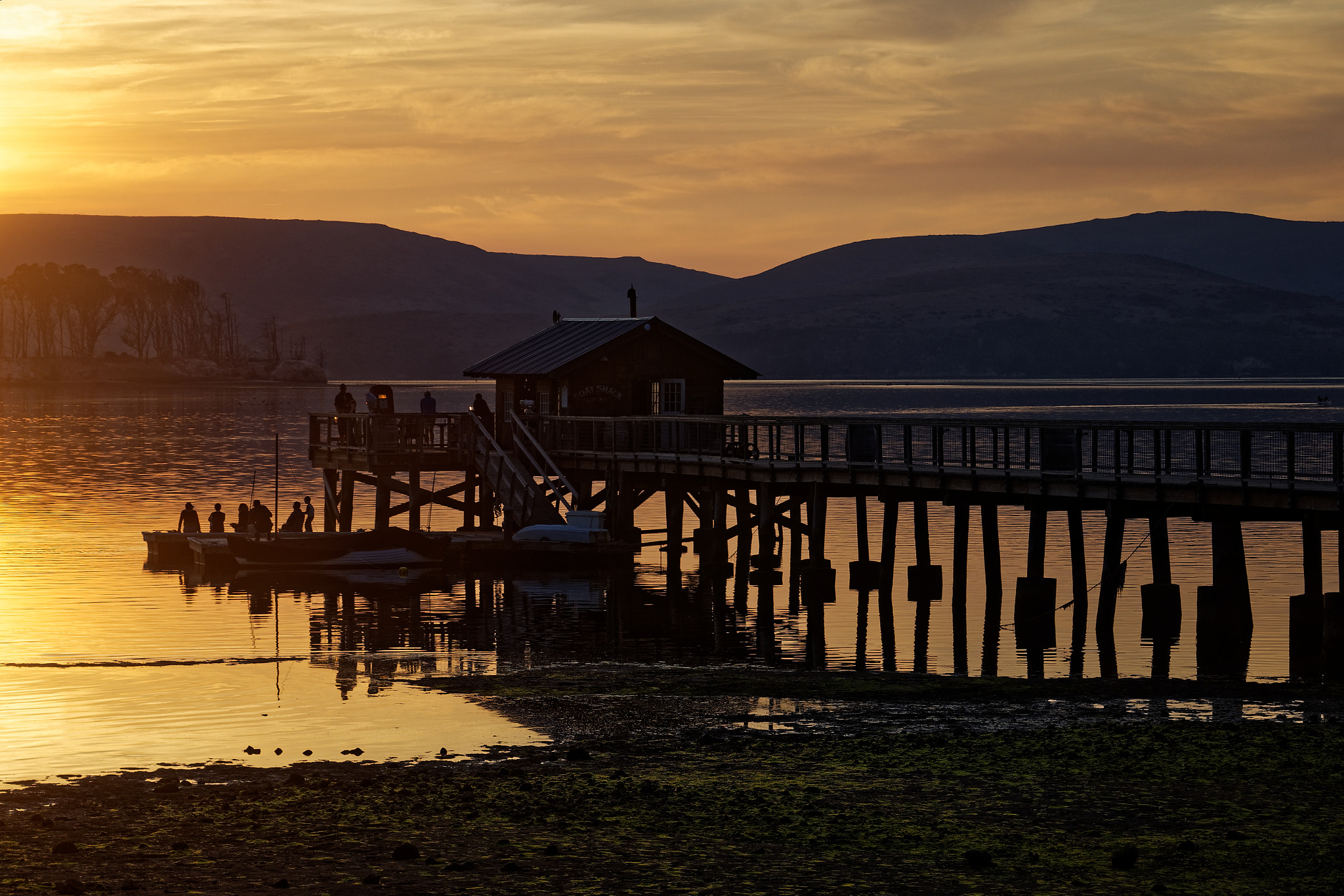 Nikon D500 sample photo. At sunset photography