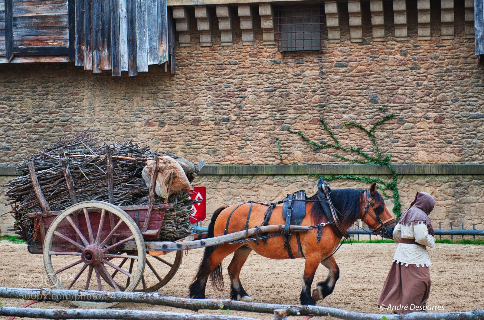 Nikon D3 sample photo. Puy du fou photography