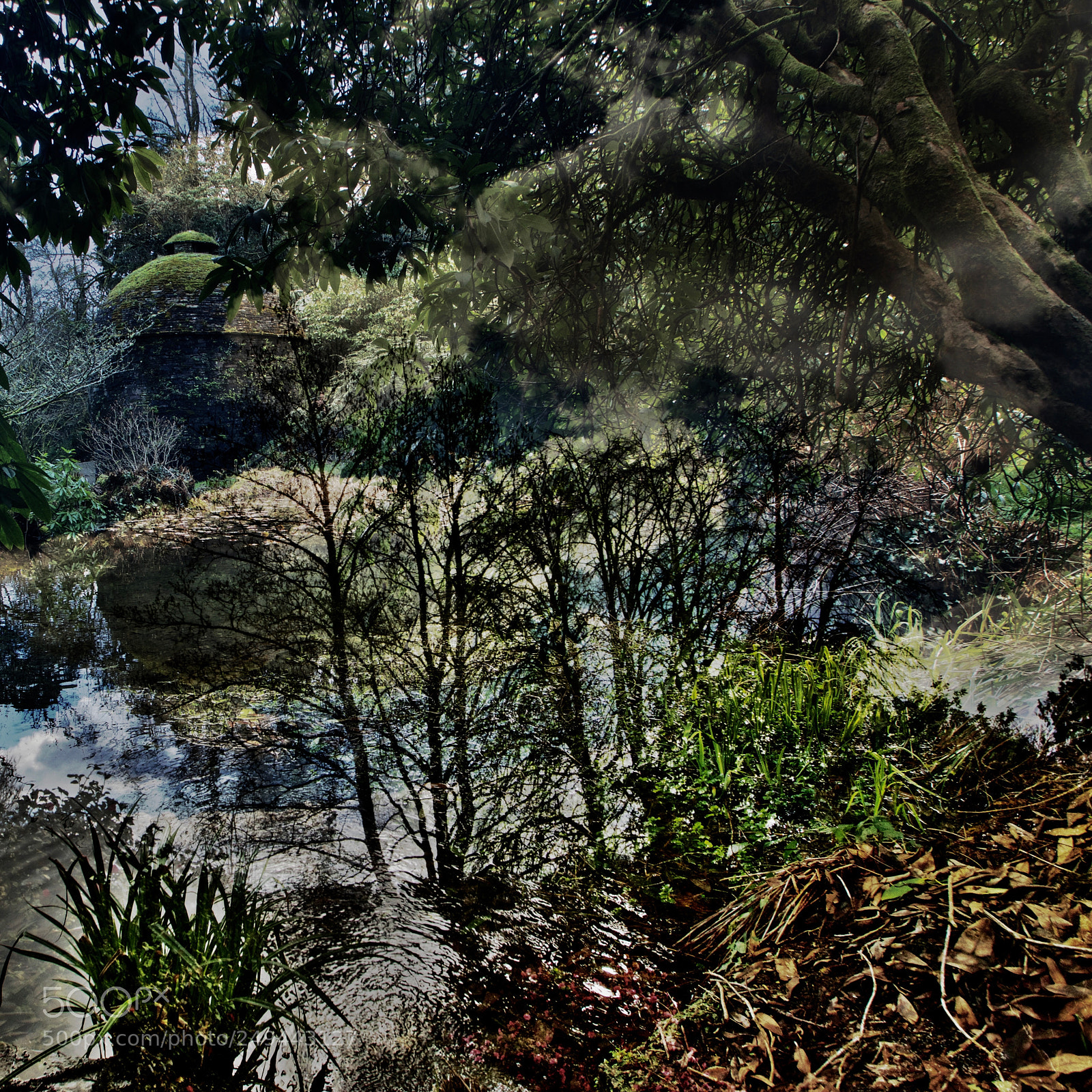 Nikon D3300 sample photo. Scene from a magic photography