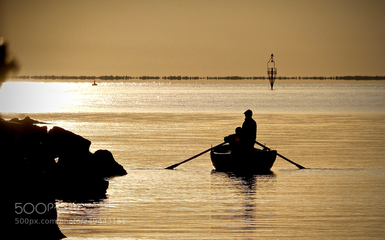 Nikon Coolpix A900 sample photo. Sea of gold photography