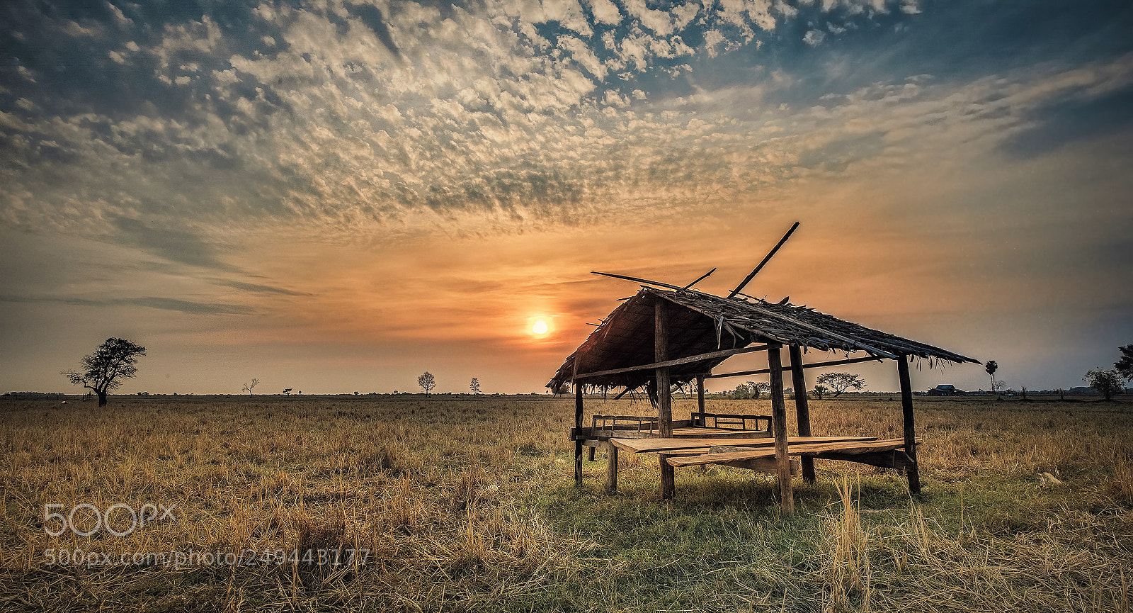Nikon D810 sample photo. Hut farm cambodia photography
