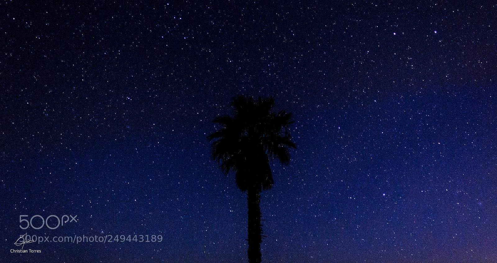 Canon EOS 60D sample photo. Palmtree, to infinity and photography