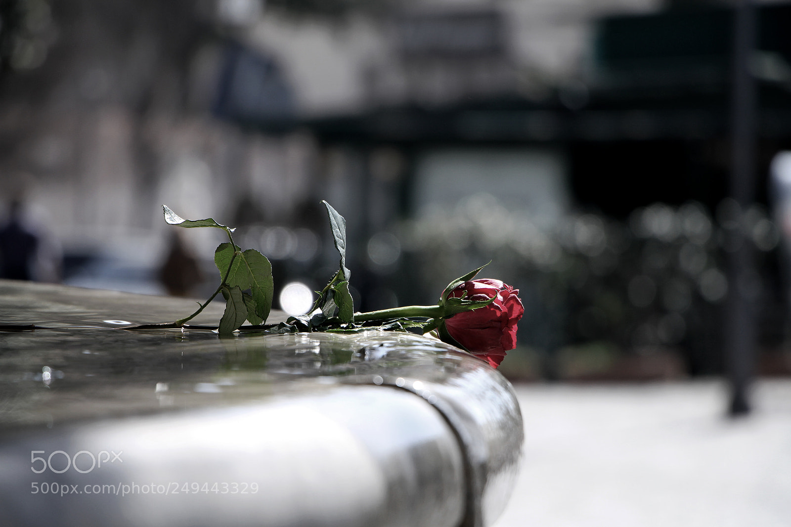 Canon EOS 7D sample photo. Rejection photography