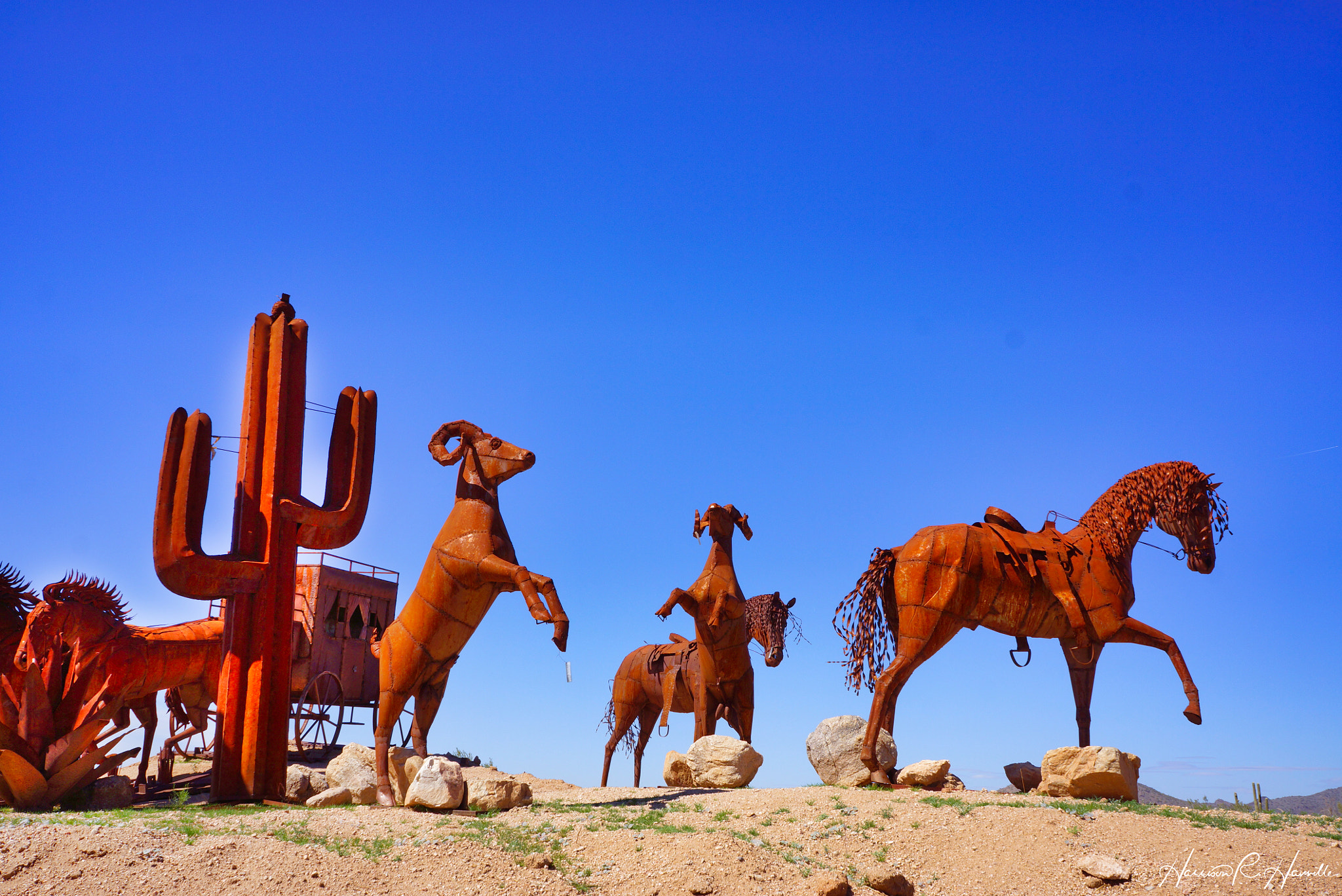 Hasselblad Lunar sample photo. Desert sculpture photography
