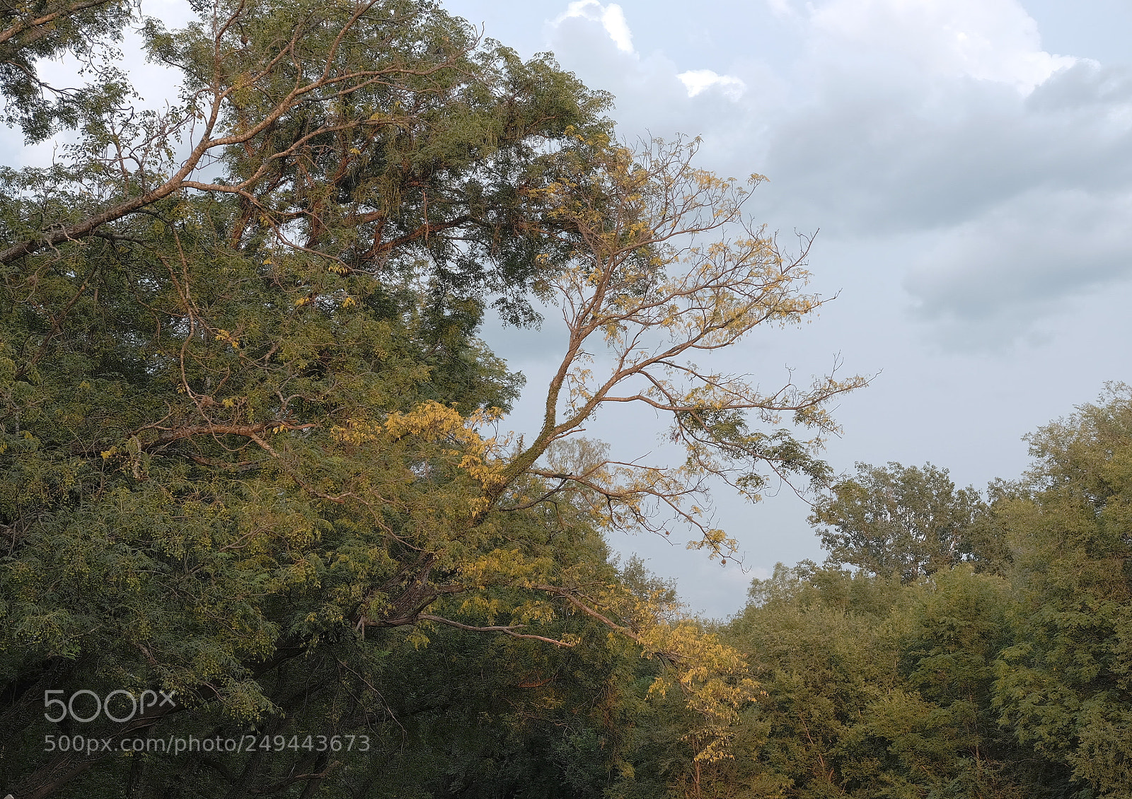 Fujifilm X-E2 sample photo. Atardecer photography