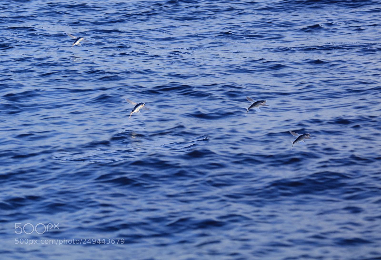 Canon EOS 5DS R sample photo. Bearbeitet photography