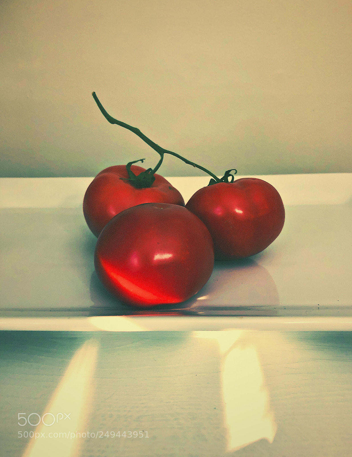 Apple iPhone 8 Plus sample photo. Vine ripened photography