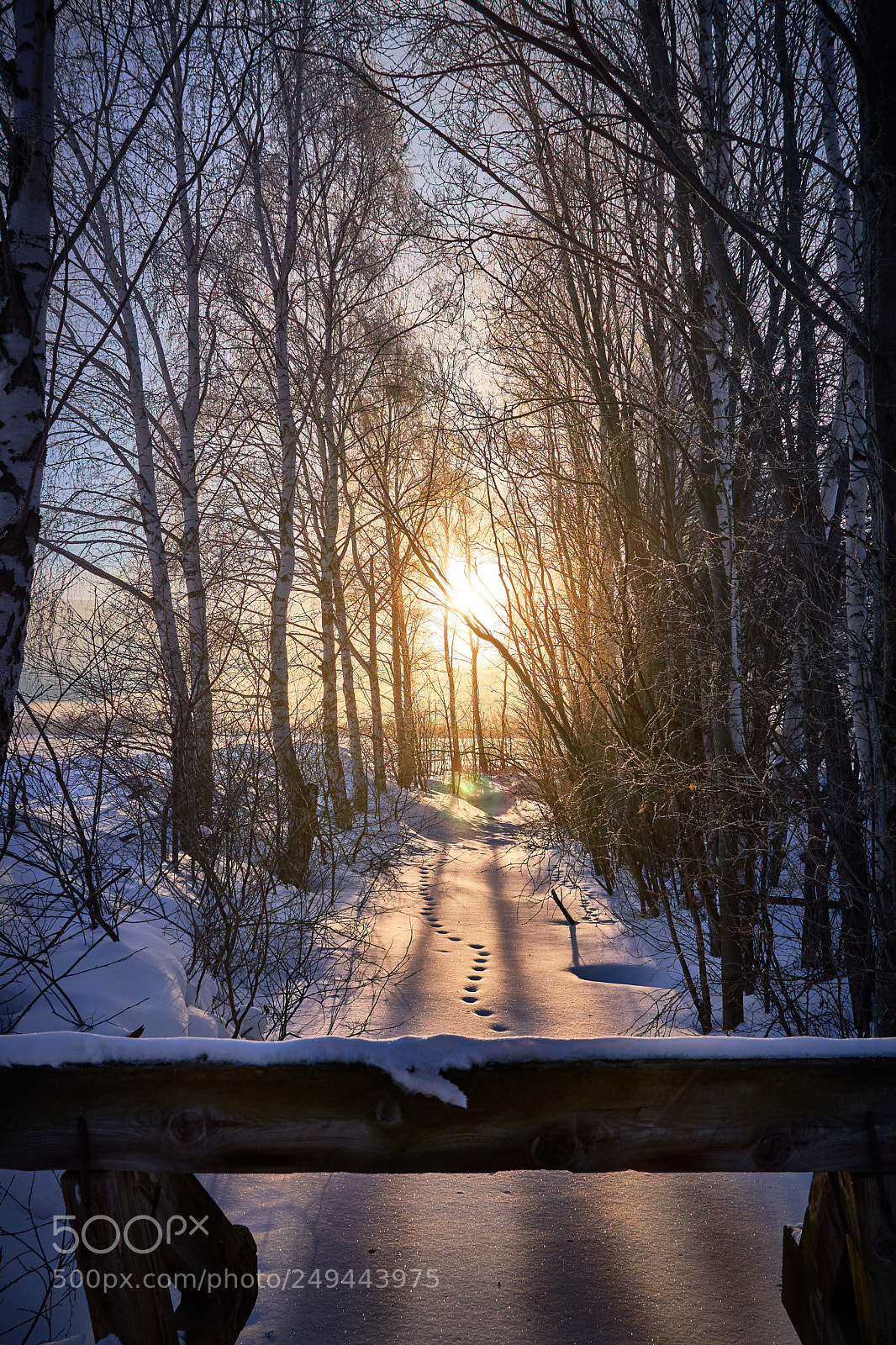 Sony a6500 sample photo. Cold winter morning photography