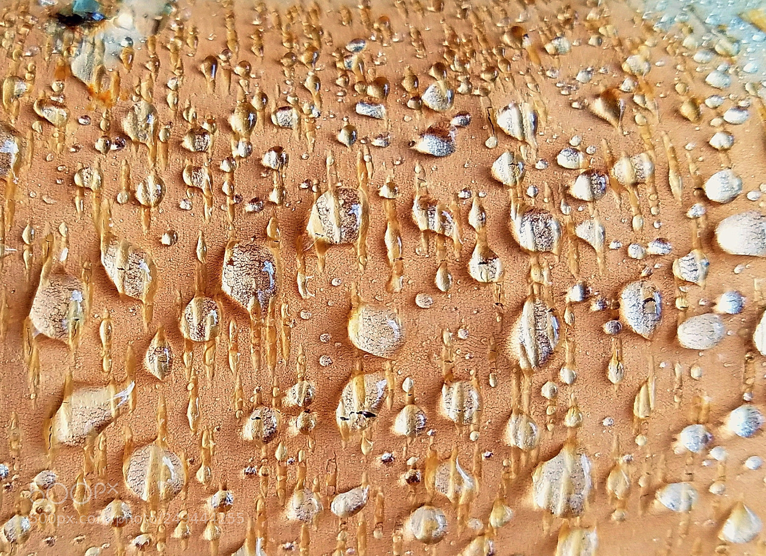 Samsung Galaxy S7 sample photo. Magnify me photography