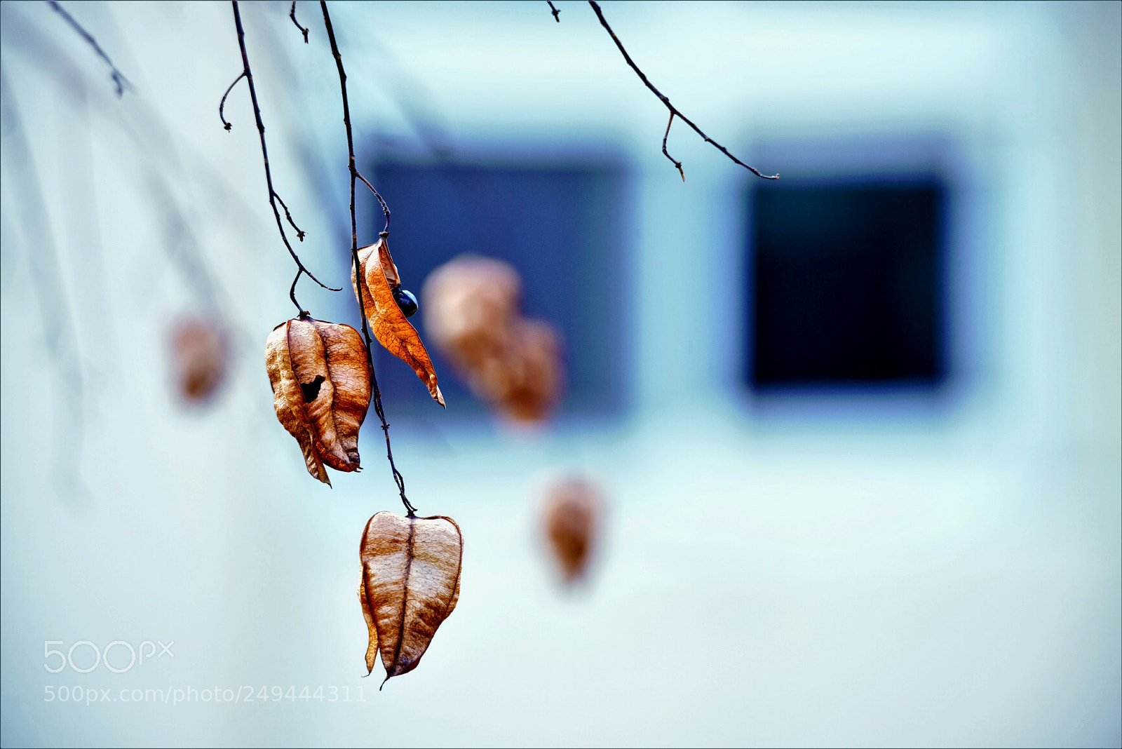 Nikon D800 sample photo. Winter. pass me by photography