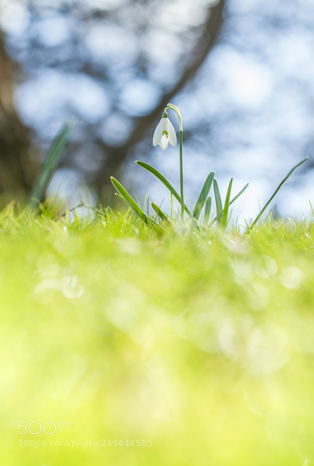 Canon EOS 7D sample photo. Drop photography