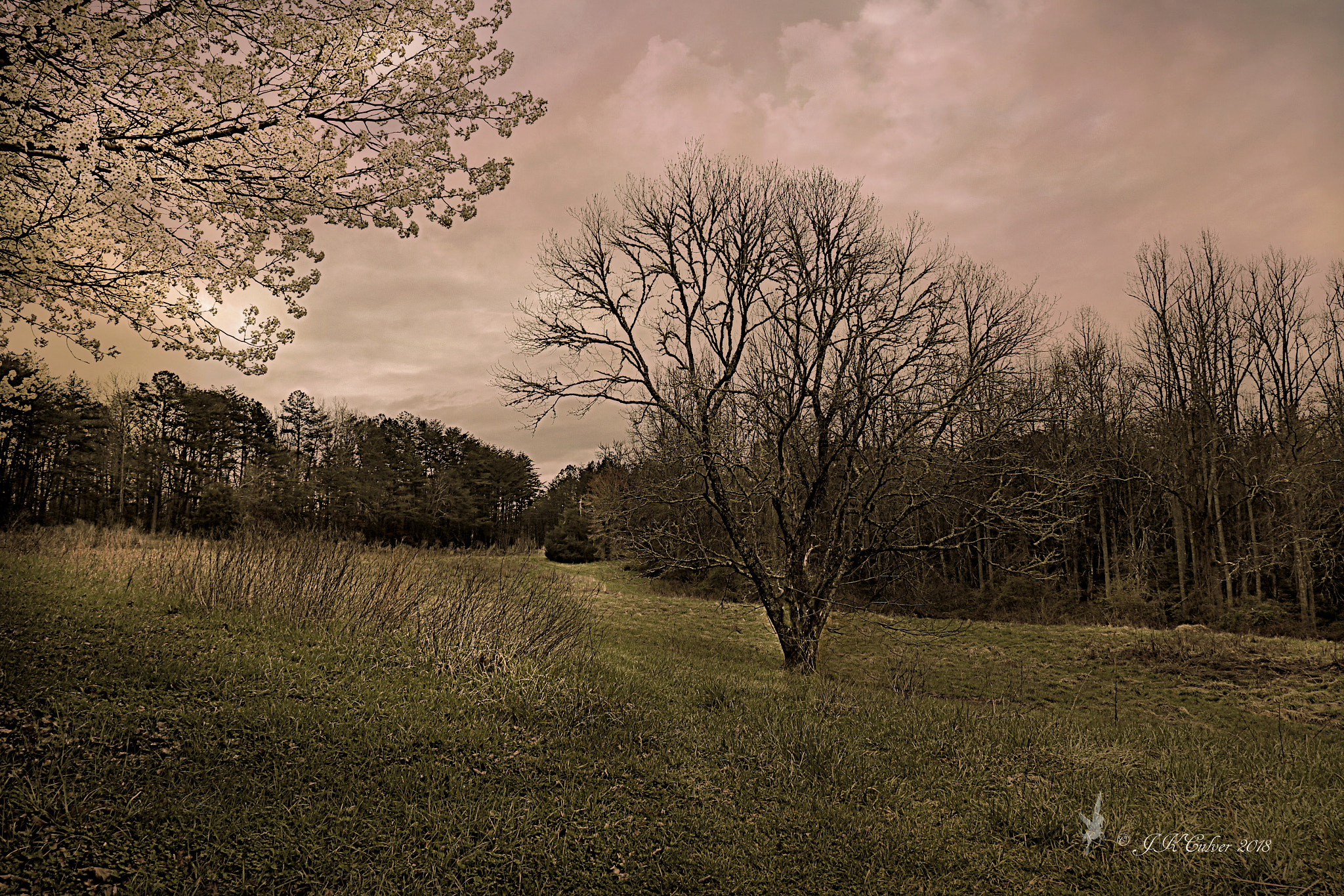 Canon EOS 77D (EOS 9000D / EOS 770D) sample photo. The mood photography