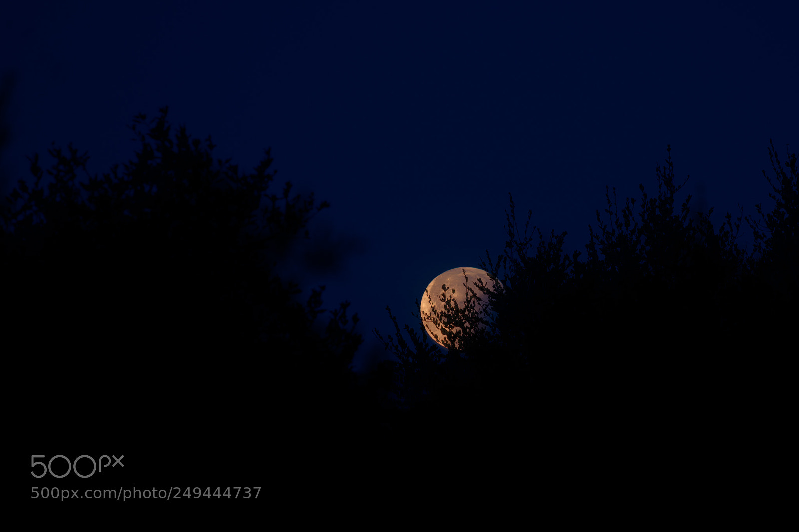 Sony a7R III sample photo. 20180131_eclipse_0669_682-edit.jpg photography