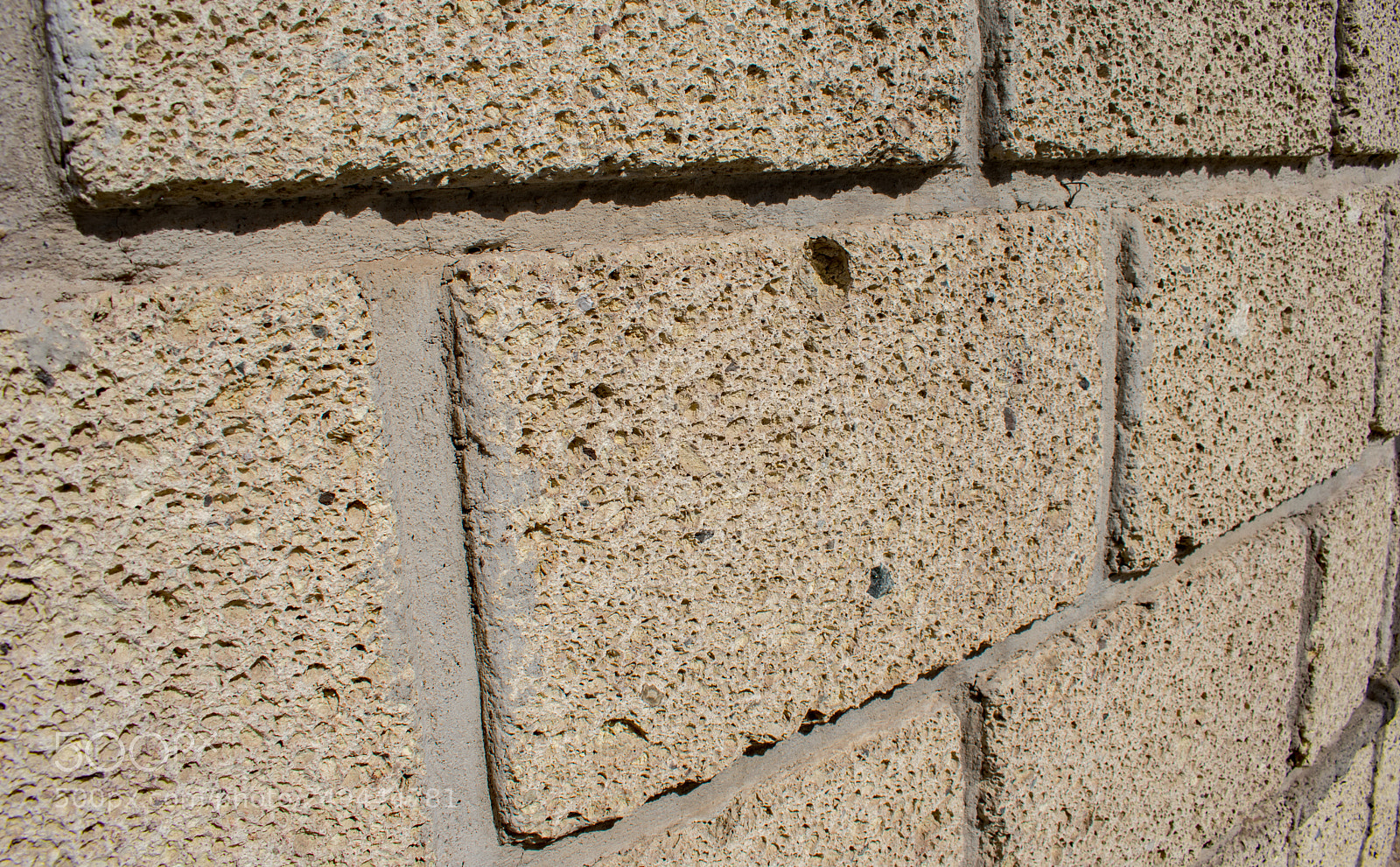 Nikon D3400 sample photo. Brick wall photography