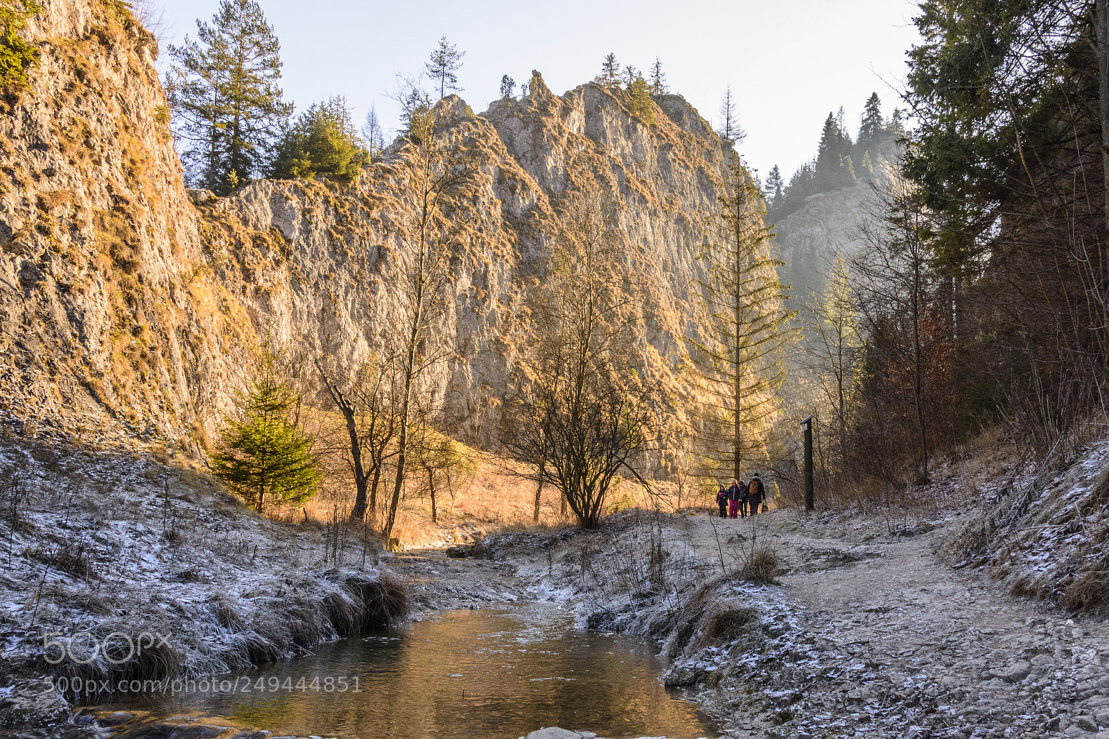 Nikon D7200 sample photo. Homole gorge in pieniny photography