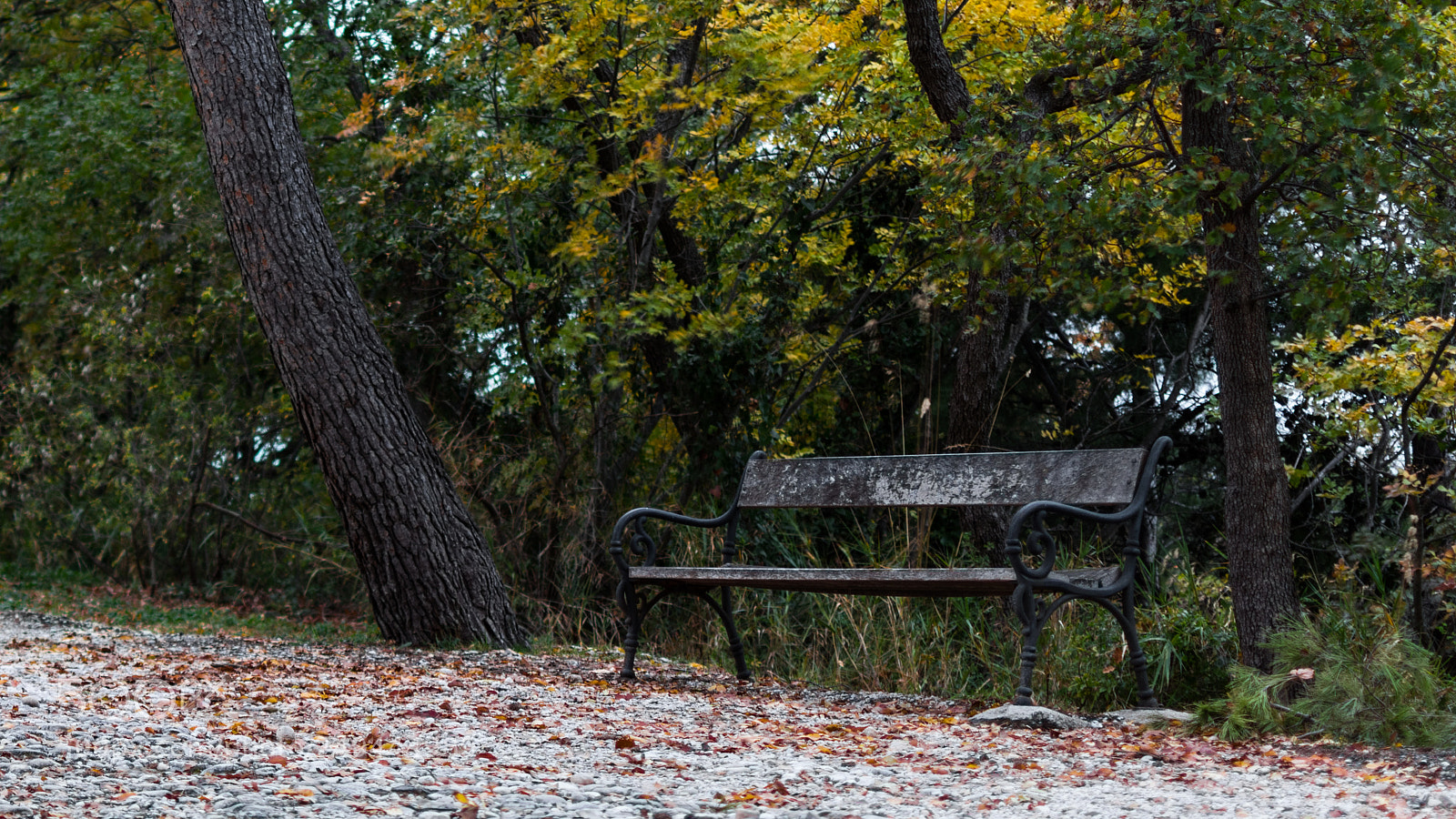 Nikon D5500 sample photo. Nov photography