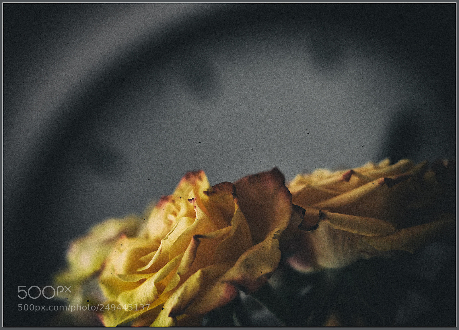 Fujifilm X-T2 sample photo. Retro photography