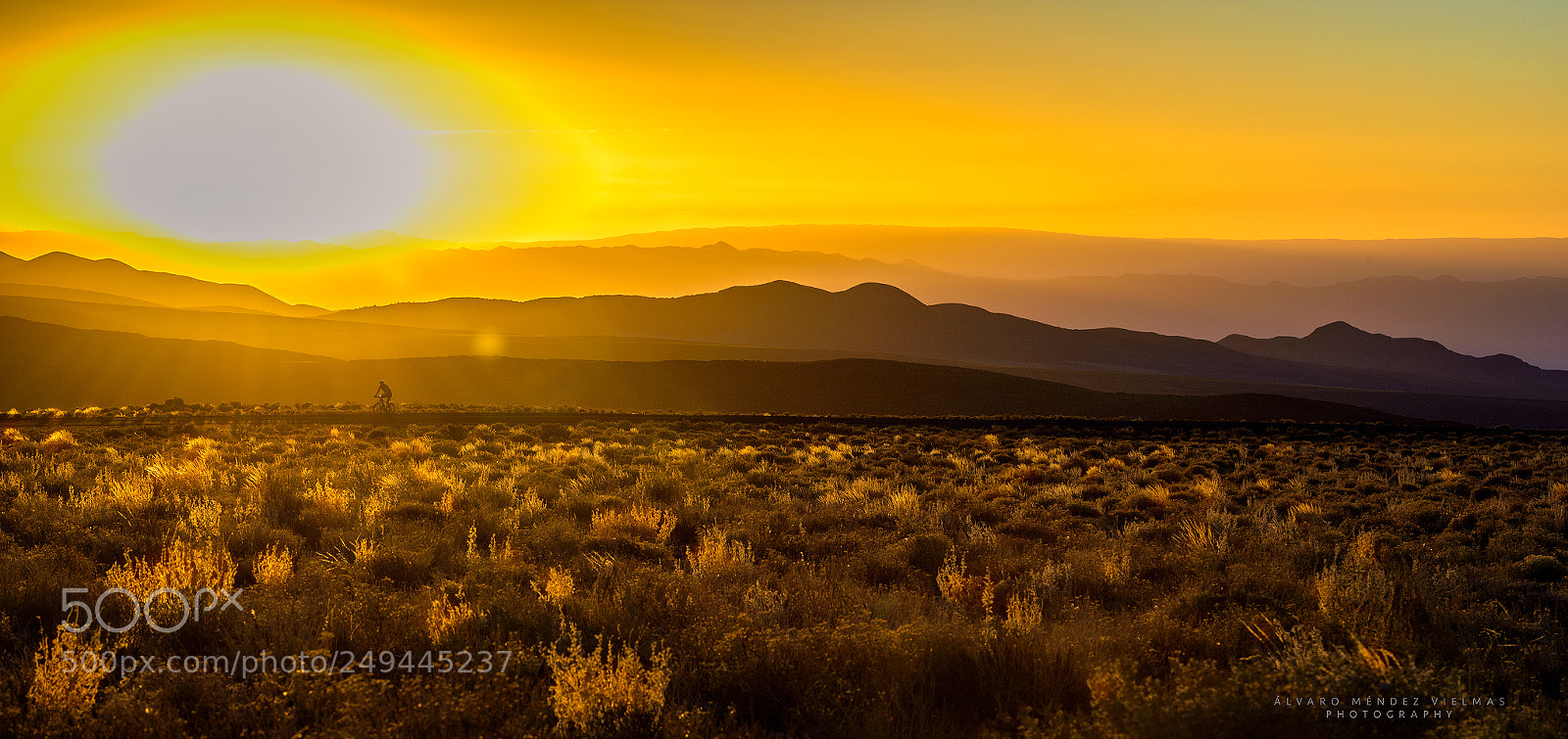 Nikon D810 sample photo. Golden sunset at highlands photography