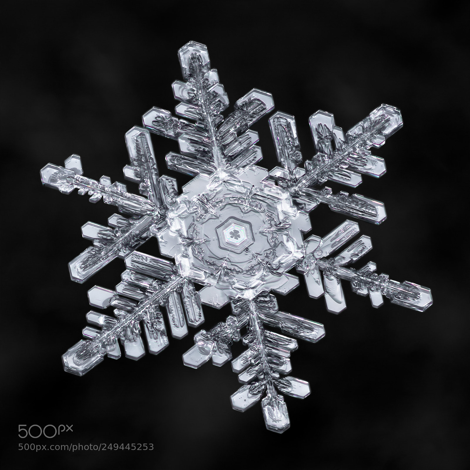 Canon EOS-1D X Mark II sample photo. Snowflake-a-day no. 65 photography