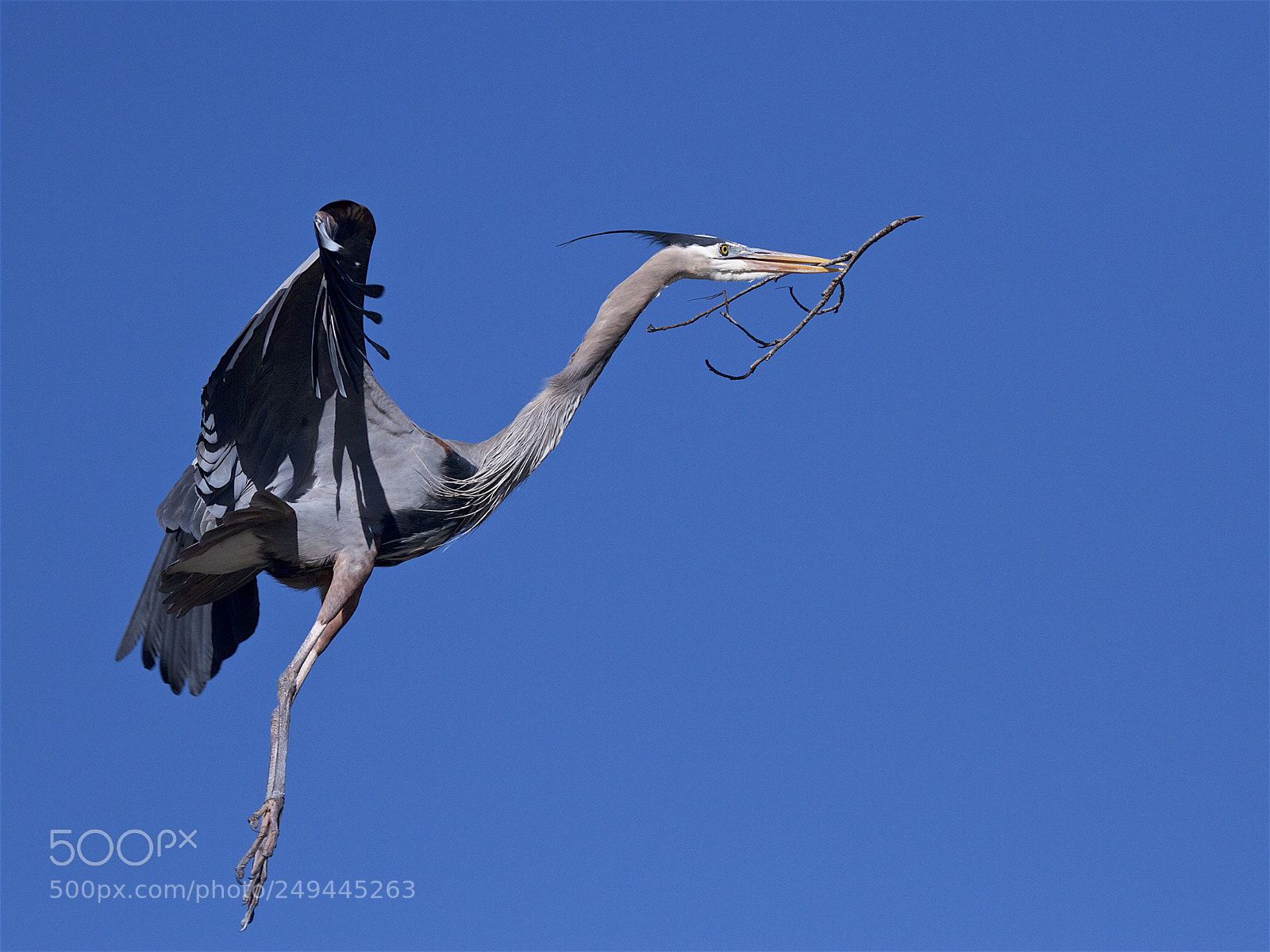 Canon EOS 7D sample photo. Spring construction photography