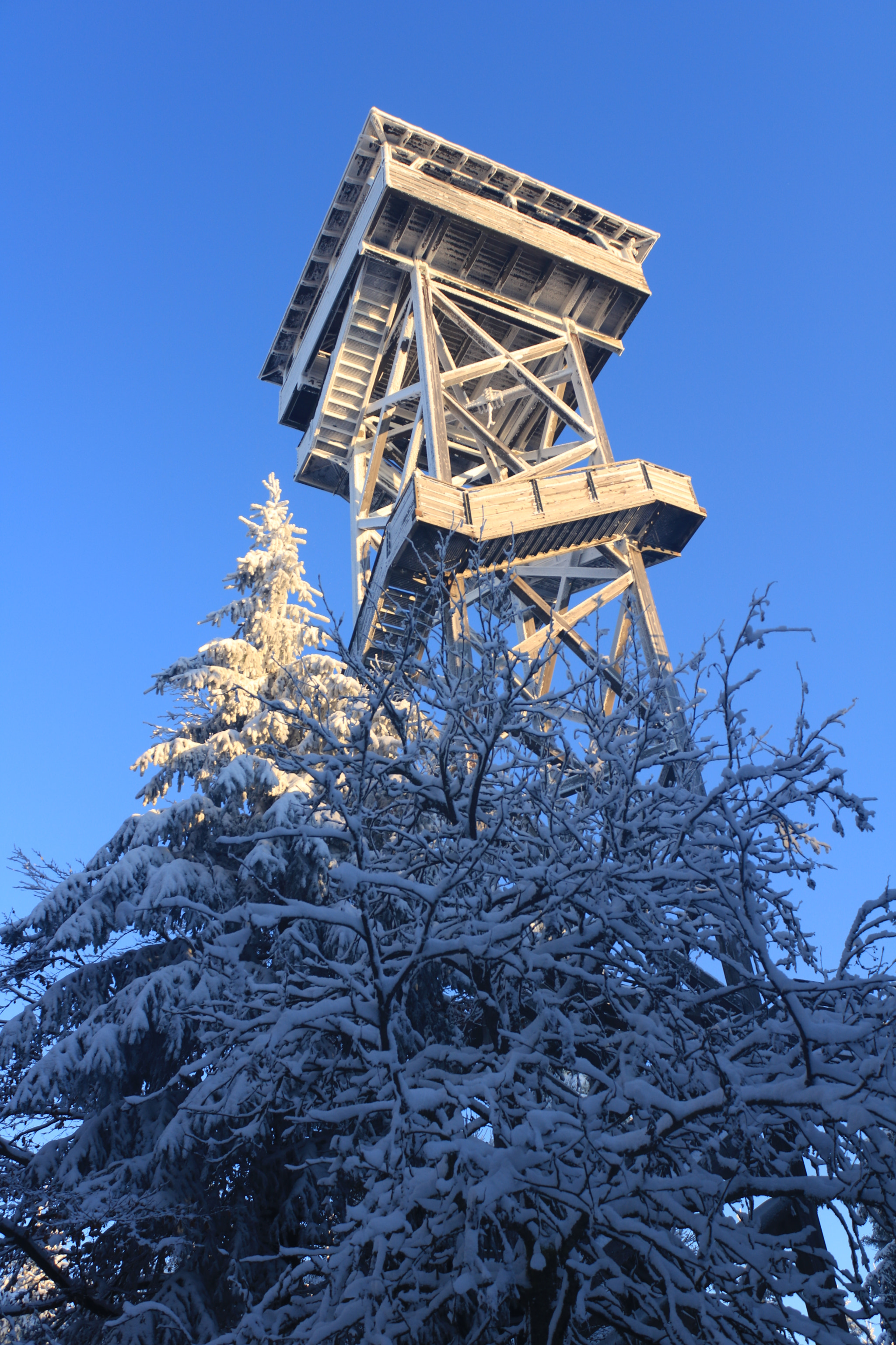 Canon EOS 760D (EOS Rebel T6s / EOS 8000D) sample photo. Auf der platte im steinwald photography
