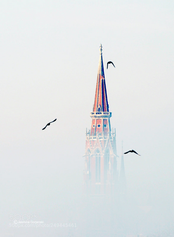 Olympus OM-D E-M1 Mark II sample photo. High in the sky photography